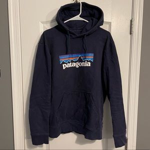 Patagonia Navy Blue Graphic Hoodie
